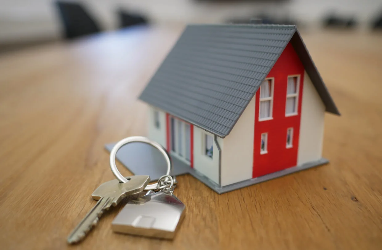 the-benefits-of-having-a-real-estate-consultant-1 the-benefits-of-having-a-real-estate-consultant-1